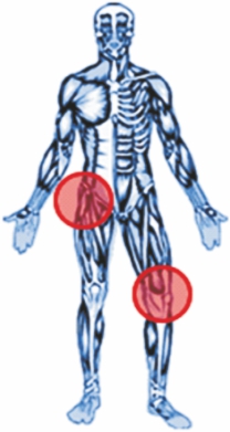 Fisiotek 3000 GS _.jpg