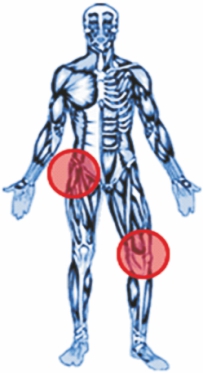 Fisiotek 3000 N _01.jpg