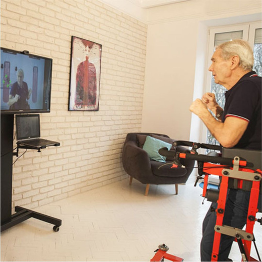 Реабилитационные динамические стендеры MASTER DYNAMIC Activ Life