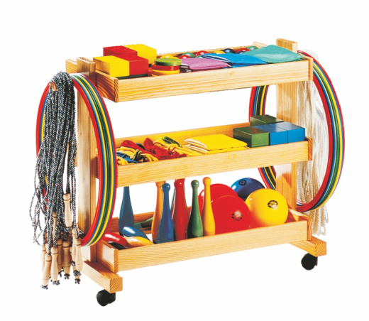 Набор для развития физиомоторики PSYCHOMOTOR KIT 1